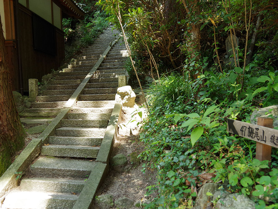 栂尾山への山道