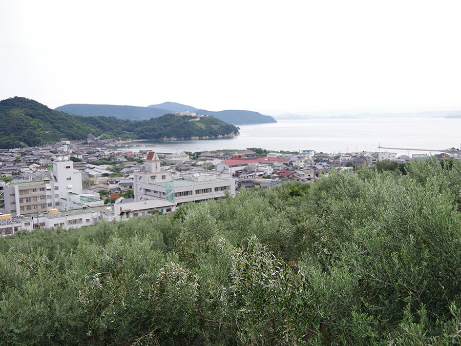 林庵からの景色