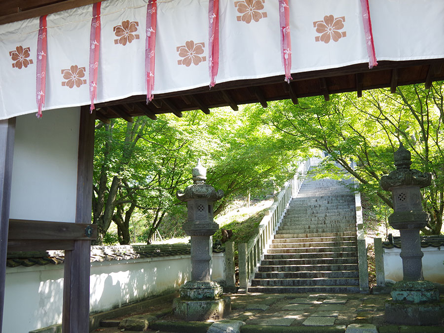 西の瀧の参道