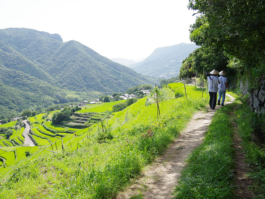 湯舟山からの帰り道