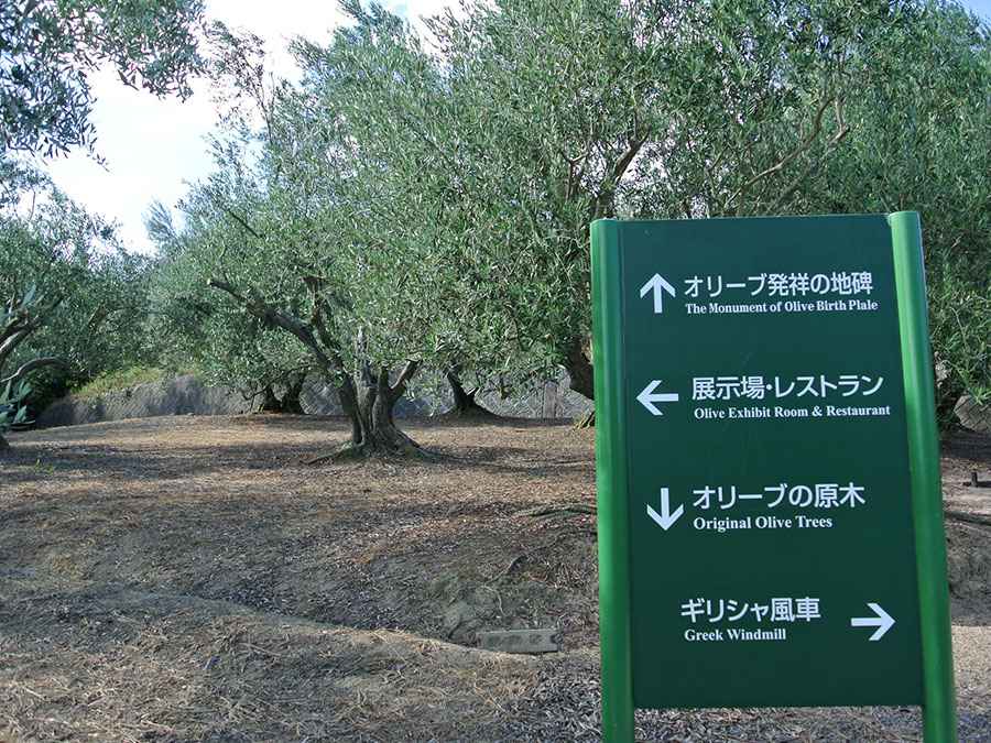 道の駅 オリーブ公園