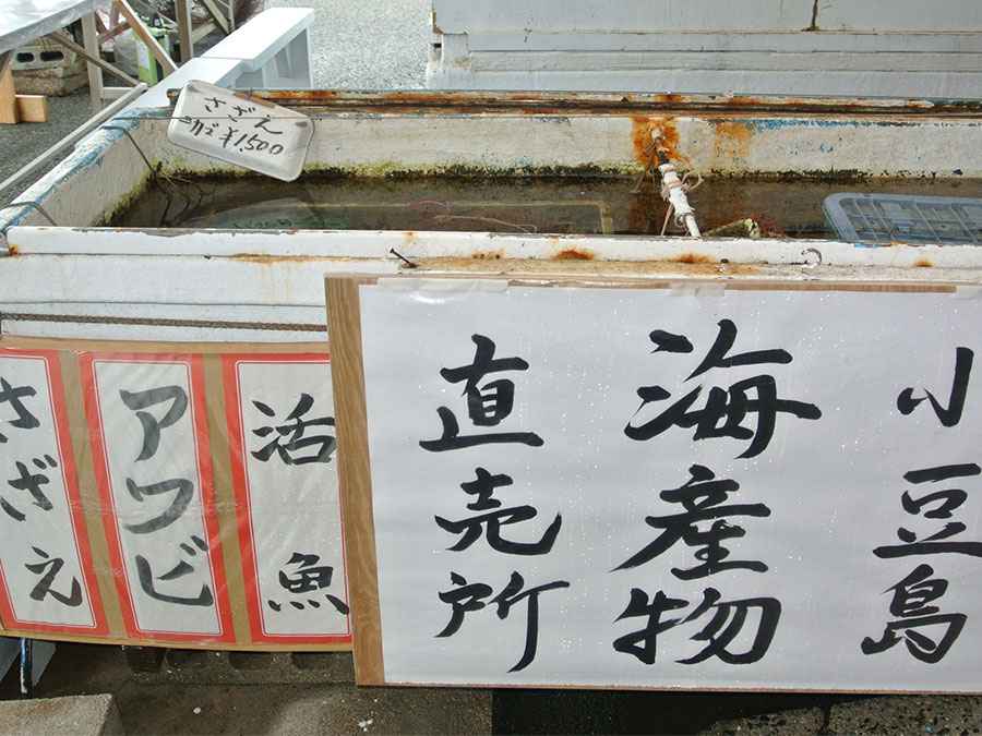 魚介類が入った水槽