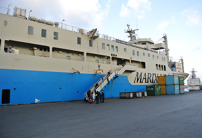 マリックスラインコーラル8