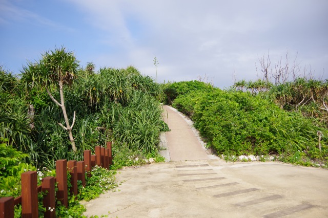 ビドウ遊歩道コースのスタート地点