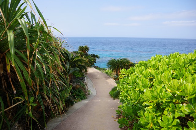 ビドウ遊歩道コース