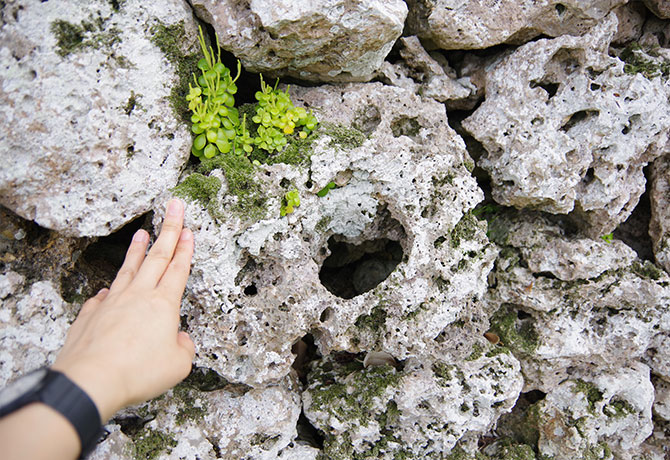 与論城跡の石垣