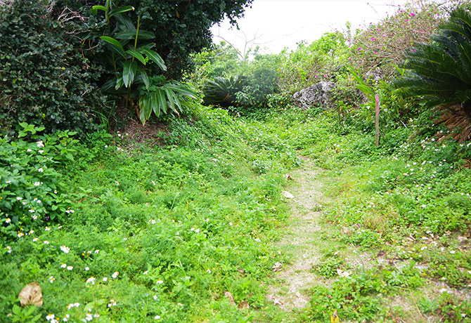 与論城跡を散策