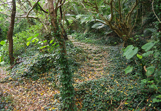 与論城跡を散策