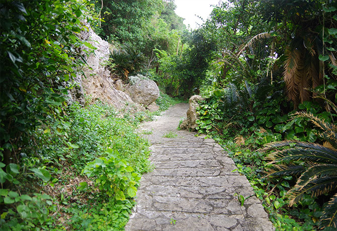 与論城跡の遊歩道