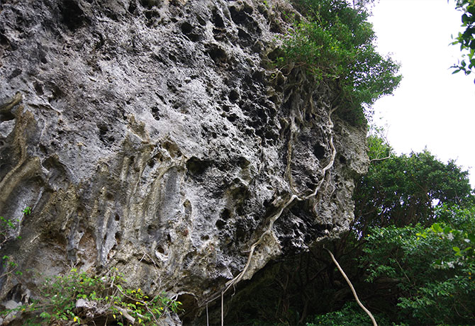 与論城跡の岩壁