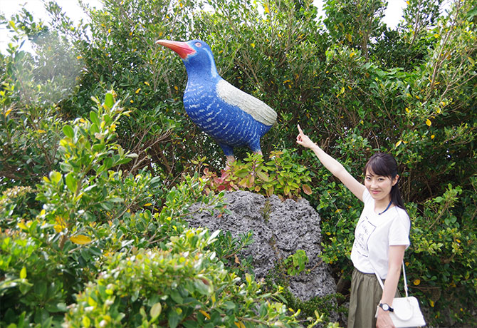 ヤンバルクイナ