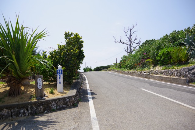 ゆいの丘へ続く道