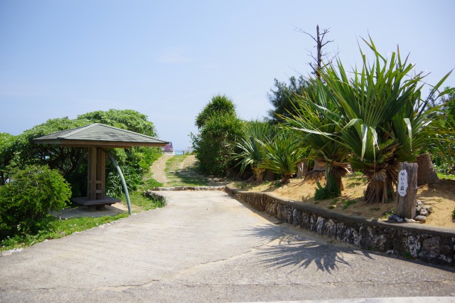 ゆいの丘へ続く道