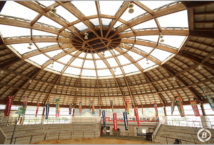 隠岐モーモードーム