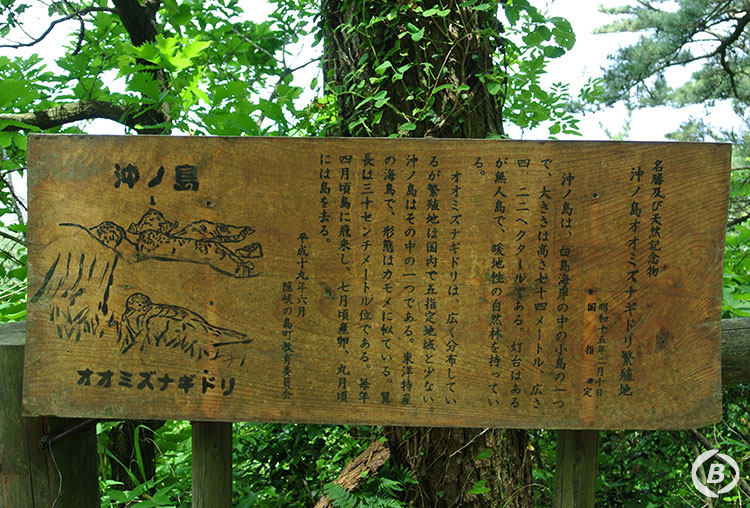 白島（しらしま）展望台