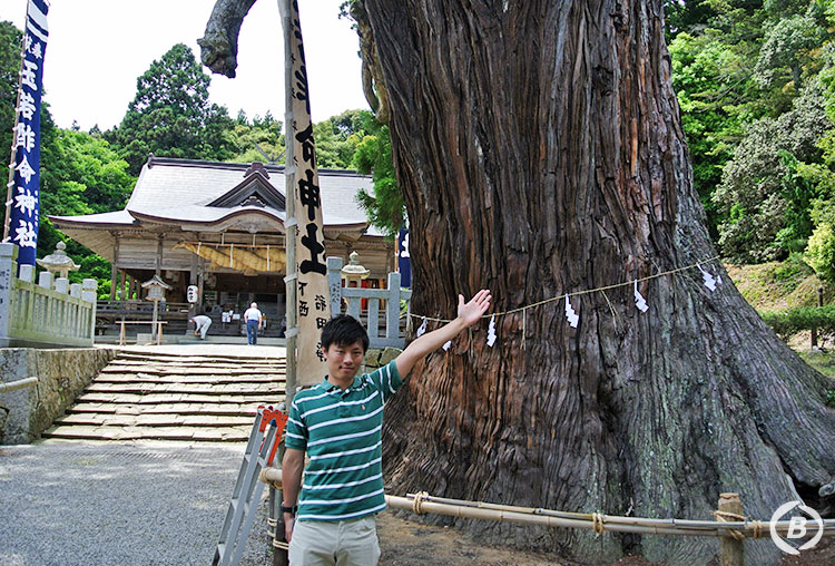 玉若酢命神社