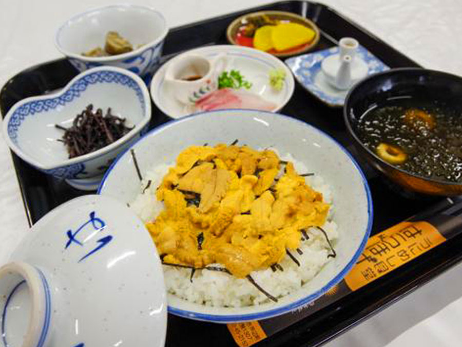 うにめし食堂はらほげの生ウニぶっかけ定食