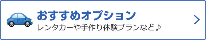 おすすめオプション