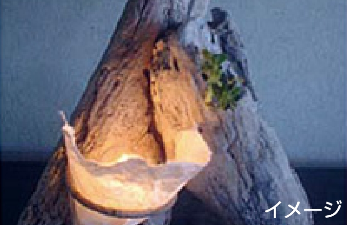 流木のあかりコース