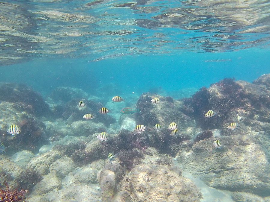 前浜海水浴場