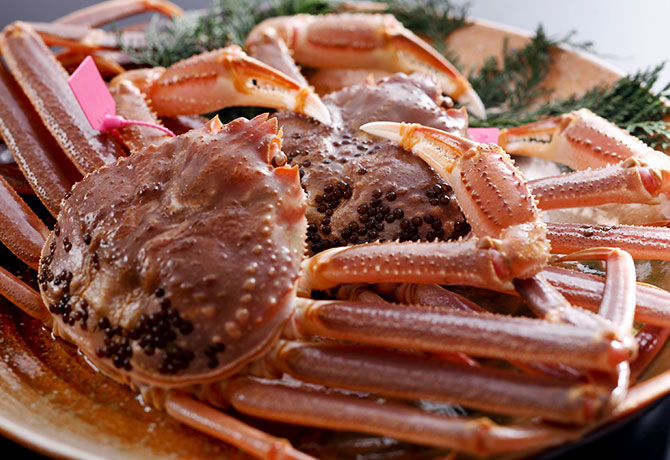 松葉ガニ