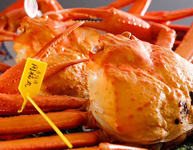 タグ付き香住ガニ
