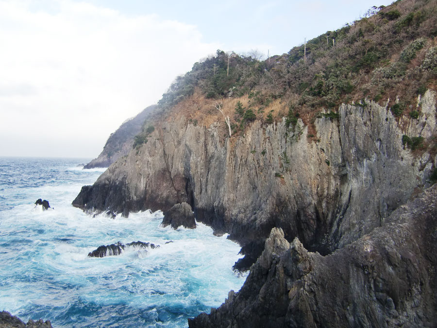 大引きの鼻展望台