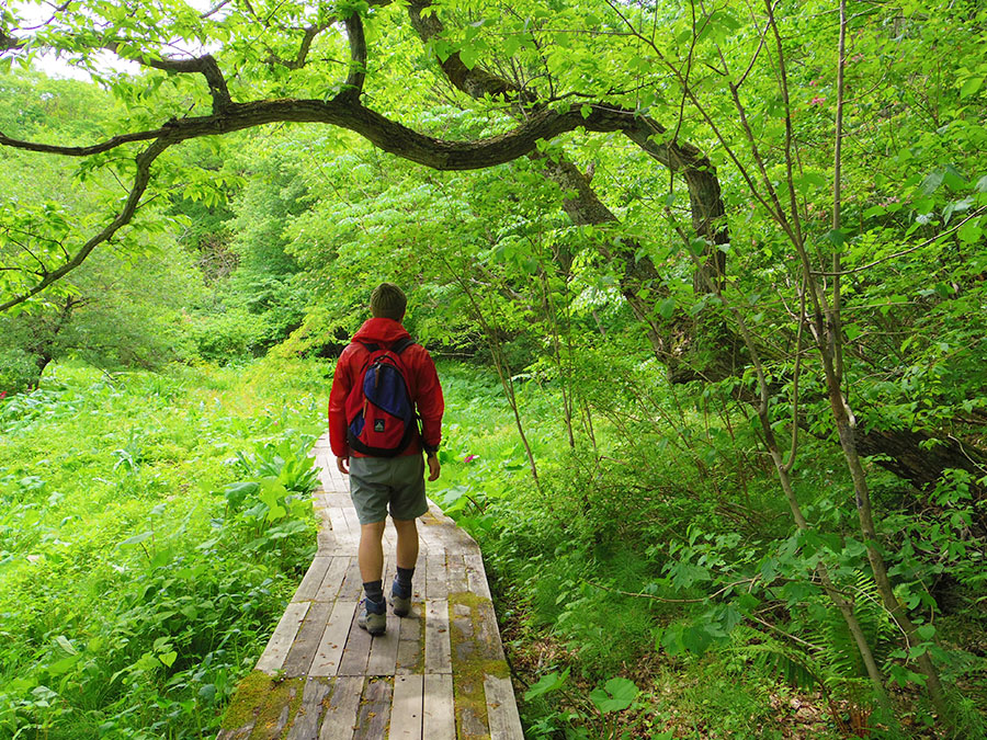 但馬高原植物園～瀧川平～