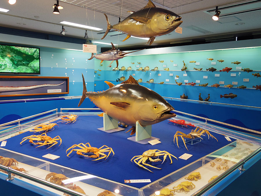 ジオパークと海の文化館