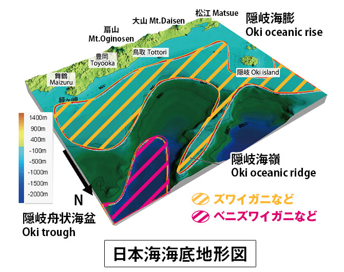 日本海改定地形図