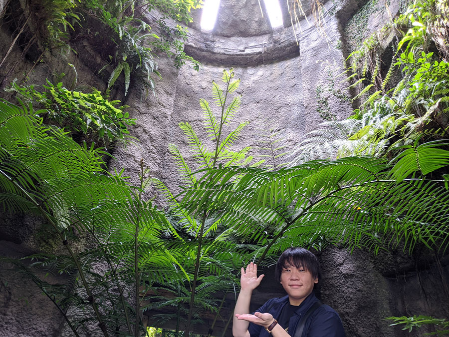 高知県立牧野植物園