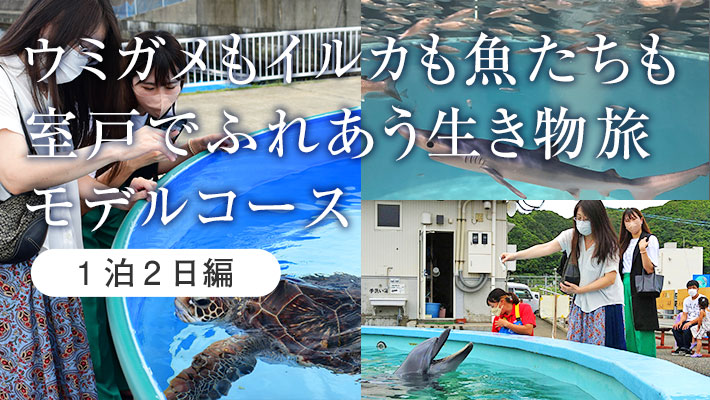 ＜室戸でふれあう生き物旅1泊2日＞高知観光のおすすめモデルコース