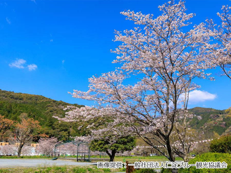 宮の前公園