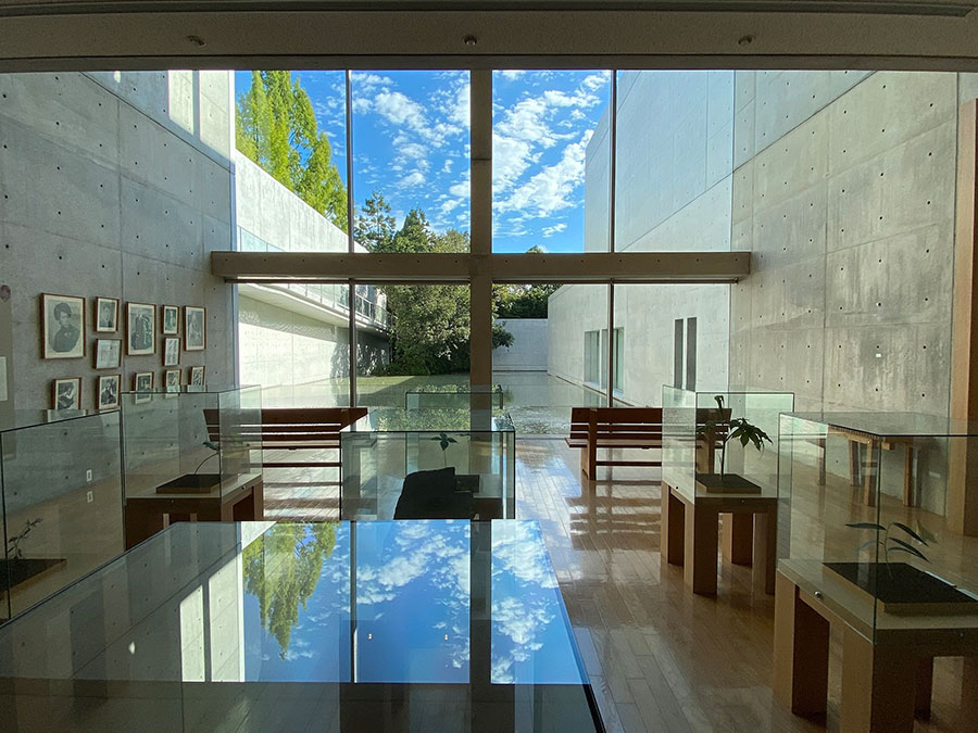 横倉山自然の森博物館・展示室