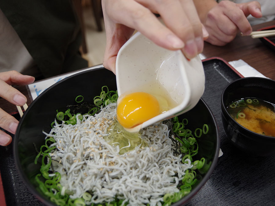 津田の松原SA下りのしらす丼