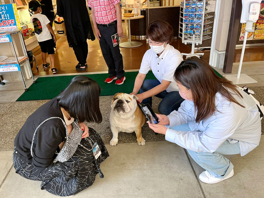 マスコット犬の大五郎君