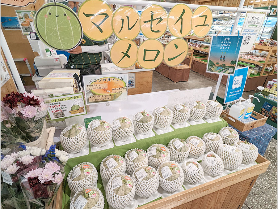 ビオスおおがた物産館のマルセイユメロン