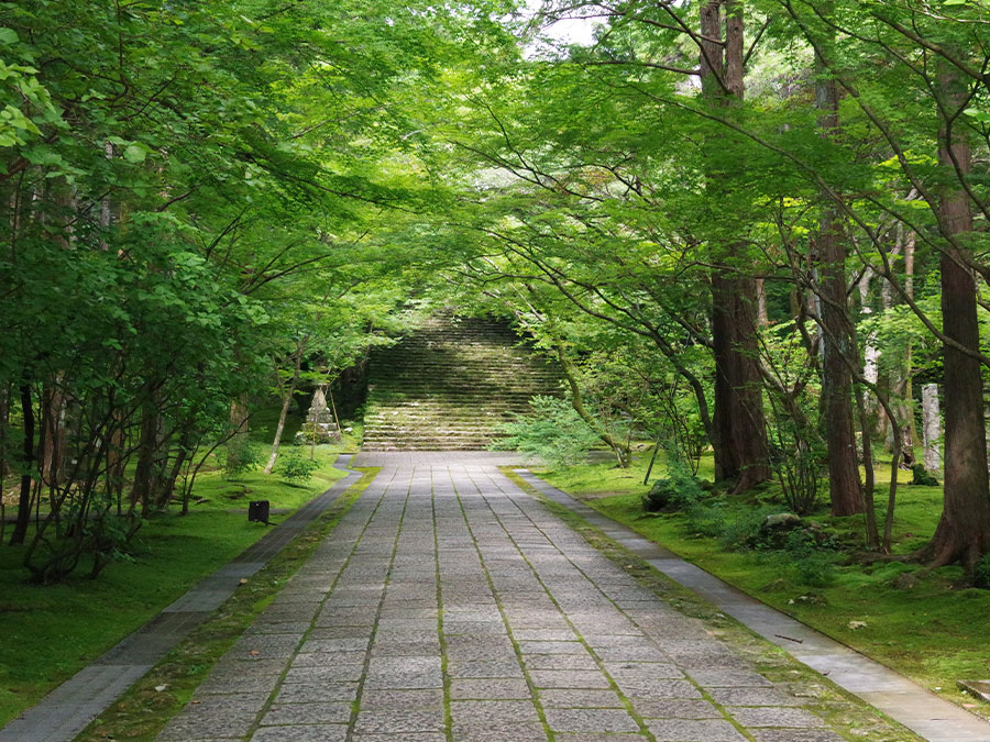 山門からの参道