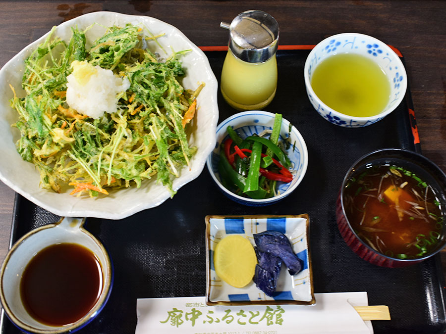 かき揚げちりめん丼