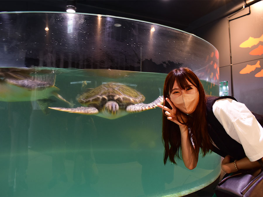 室戸廃校水族館