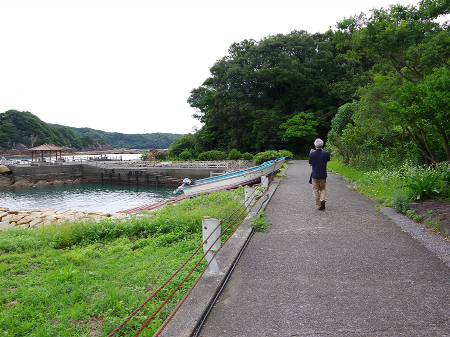 竜串海岸グラスボート