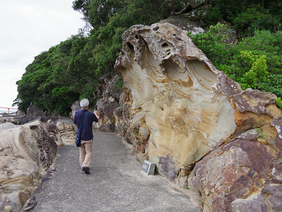 竜串海岸の竜の波がえし