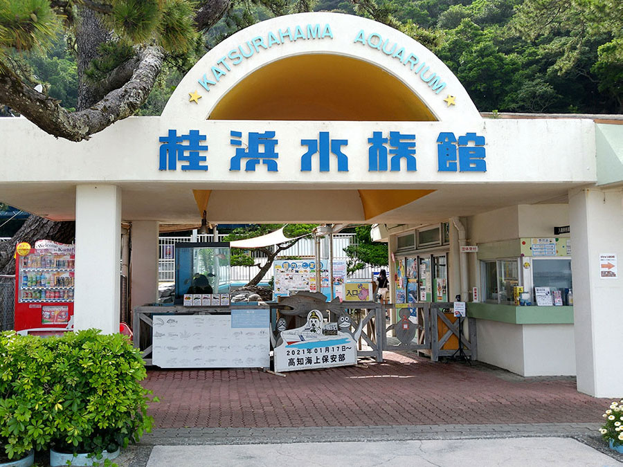 桂浜水族館