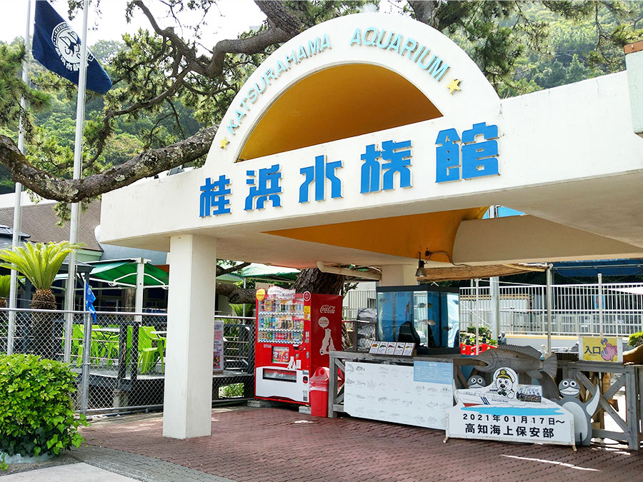 桂浜水族館の入口