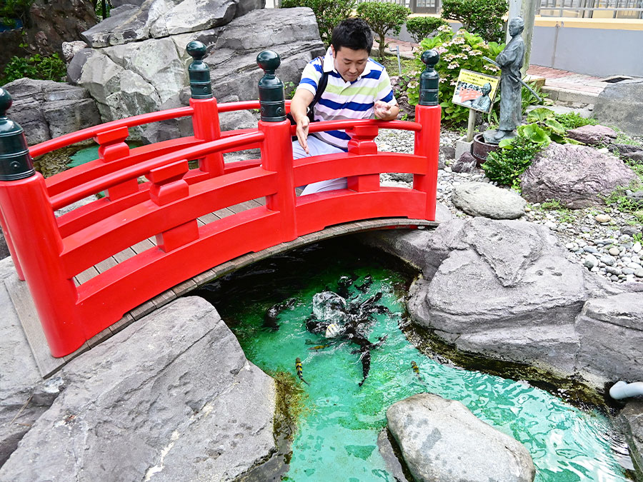 桂浜水族館の「おらんくの池」でエサやり体験