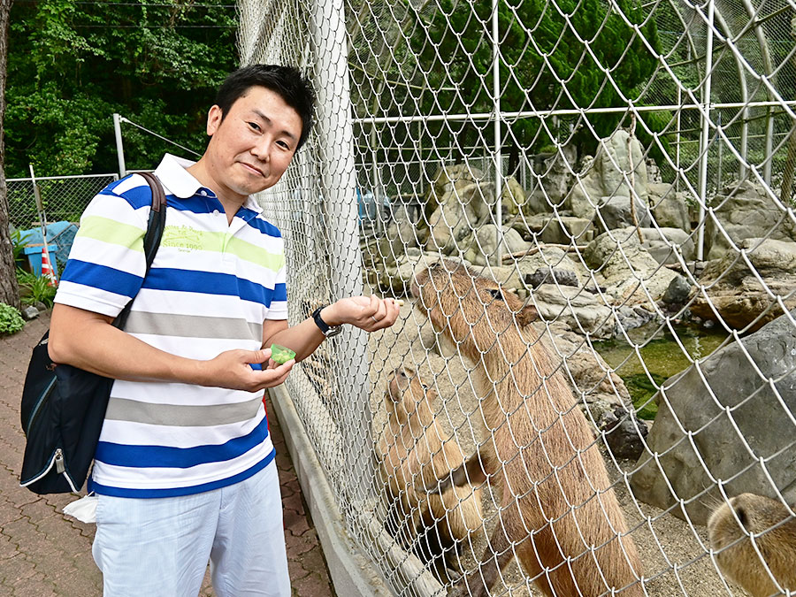 桂浜水族館のエサやり体験