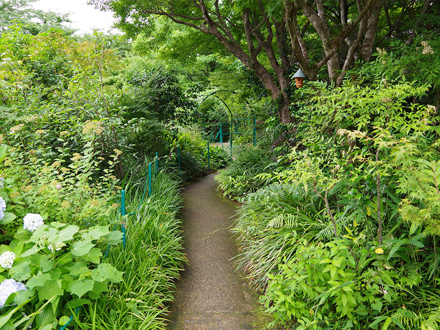 北川村「モネの庭」マルモッタンの森の小路