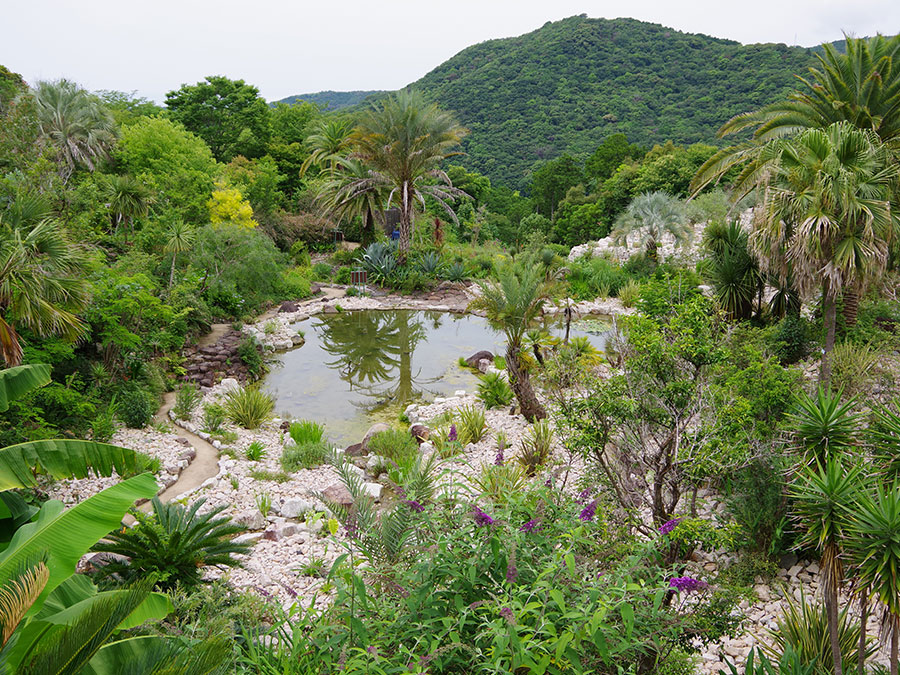 北川村「モネの庭」マルモッタンの地中海のボルディゲラ