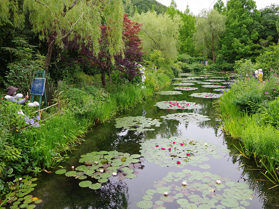 北川村「モネの庭」マルモッタンの水の庭