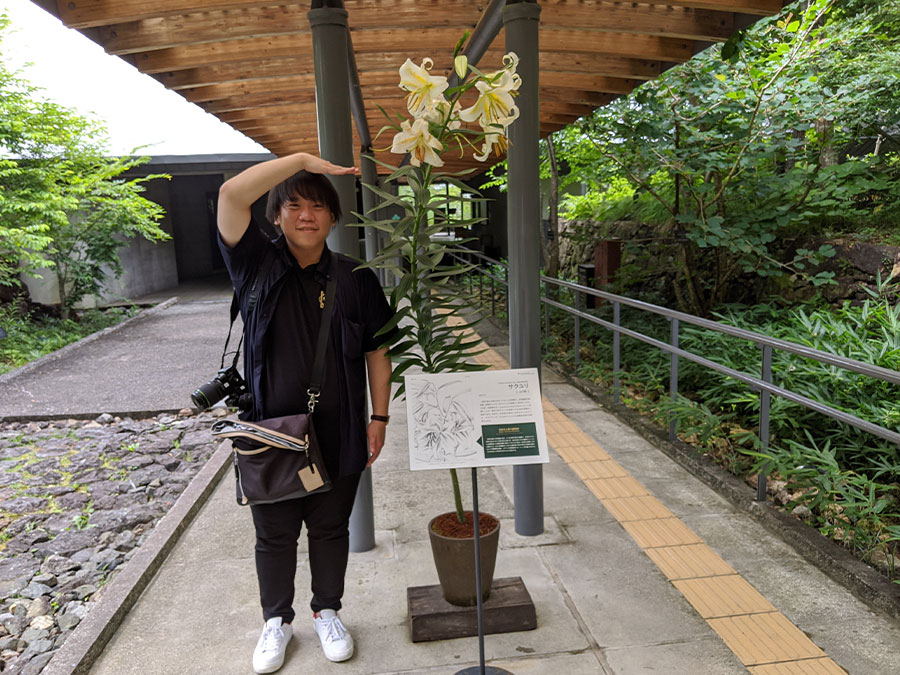 高知県立牧野植物園のサクユリ